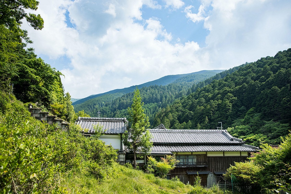 奈良染織工房 空蝉